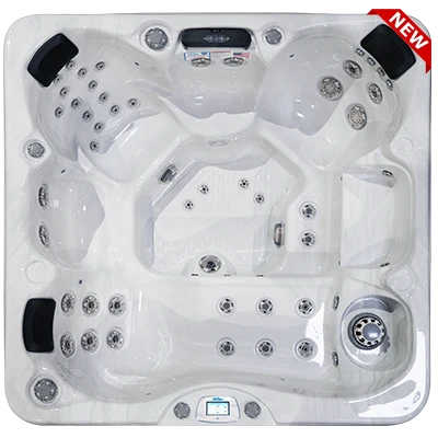 Avalon-X EC-849LX hot tubs for sale in Sunrise